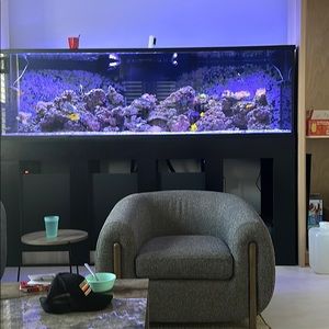 Meet your Posher, Trevor